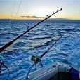 saltwater fishing
